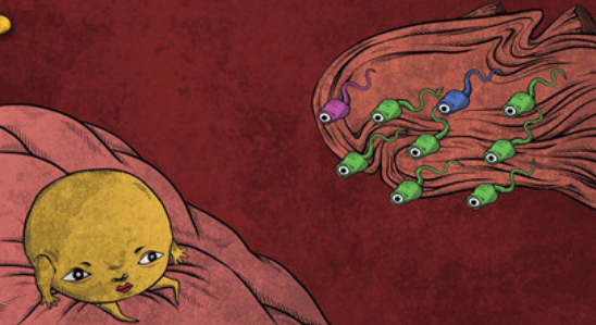 人生畫廊第一章怎么過 第一章過關(guān)攻略