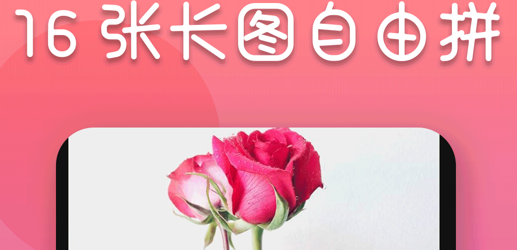 调整照片大小的软件有哪些 好用的照片大小调整类软件合集截图