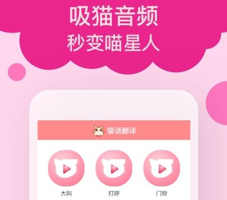 猫咪软件有哪些好用 热门猫咪软件排行截图