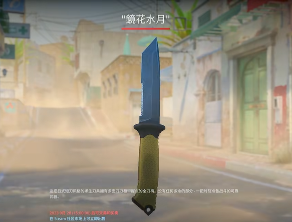 csgo2控制臺怎么打開 csgo2控制臺打開步驟圖文教程截圖