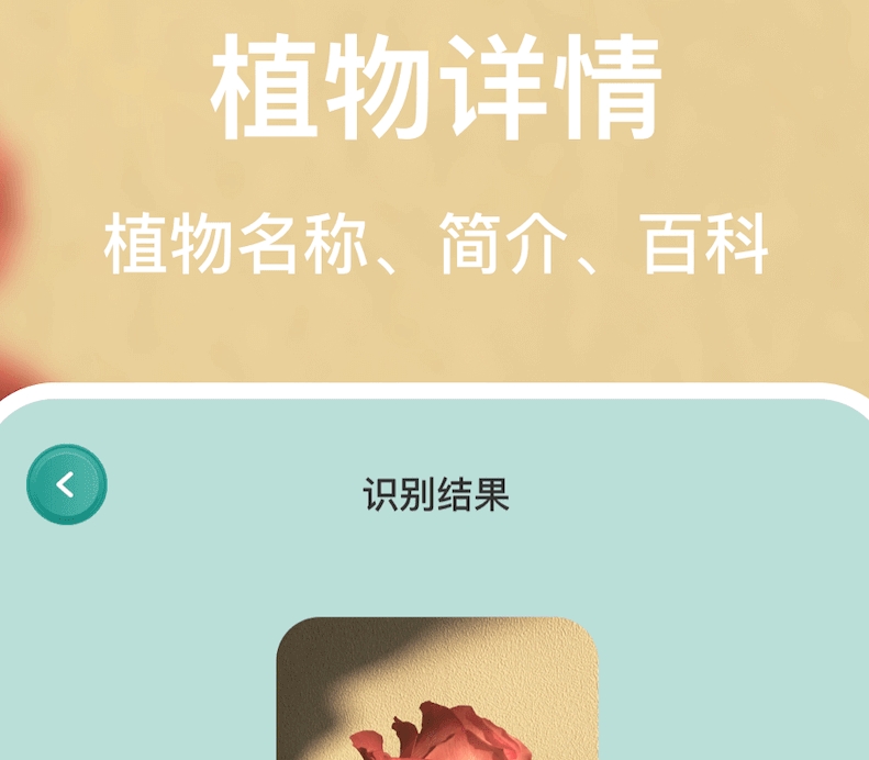 识别中草药的app有哪些 一键识别中草药软件推荐截图