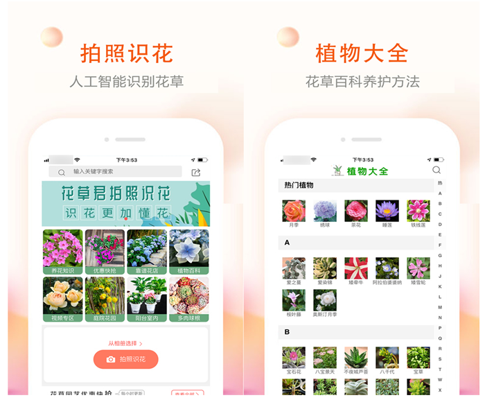 扫植物识别软件哪个好 识别植物名称的软件排行榜截图