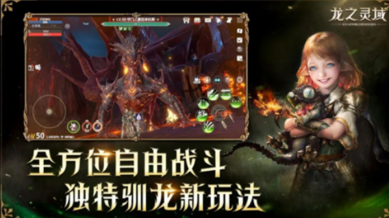 龍之靈域搬磚玩法介紹 龍之靈域搬磚攻略截圖