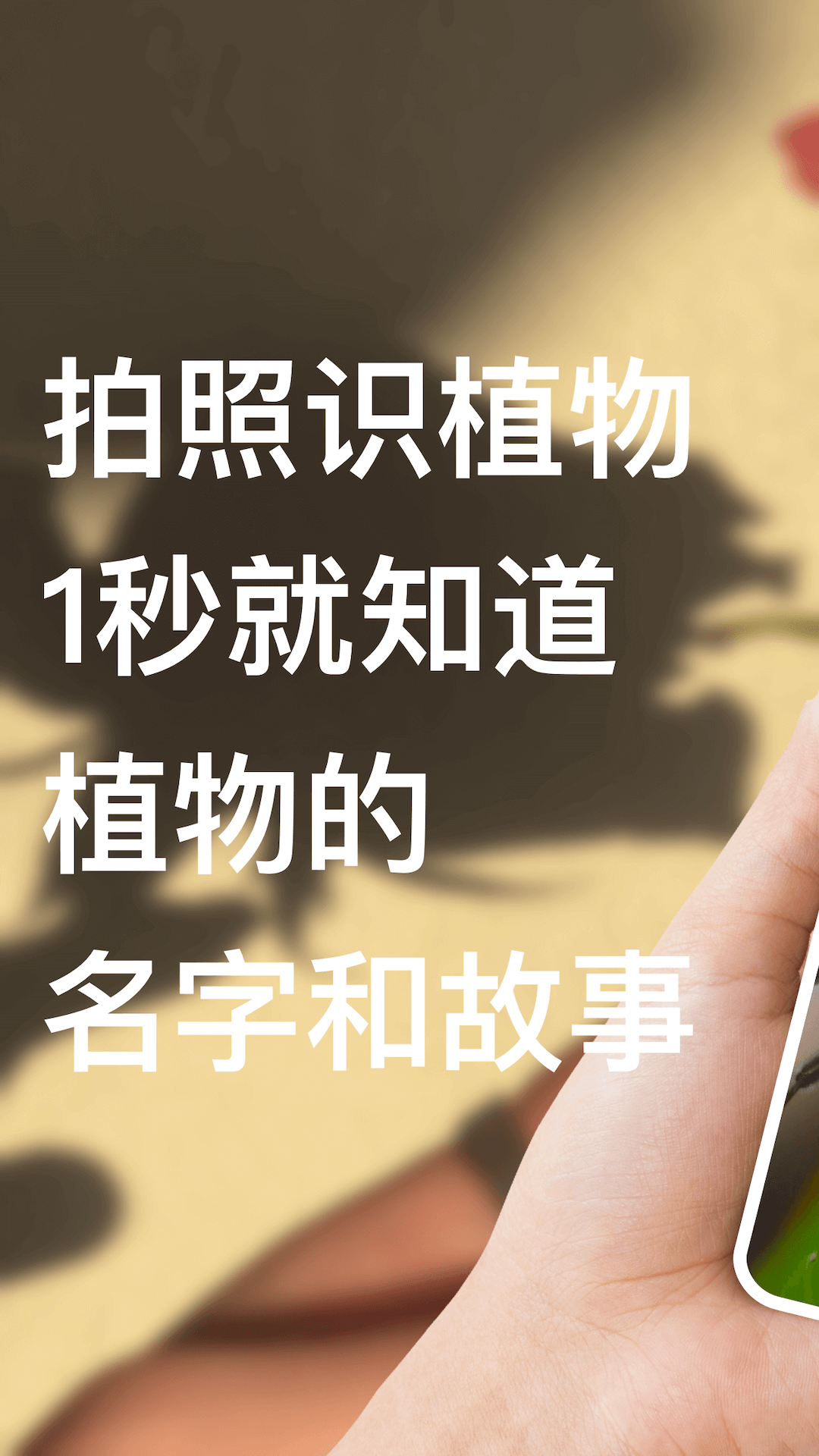 什么软件可以识别花草树木 可以识别花草树木的APP软件推荐截图