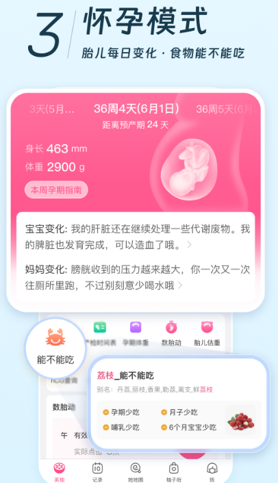 怀孕app软件哪个好排名 热门怀孕软件排行榜截图