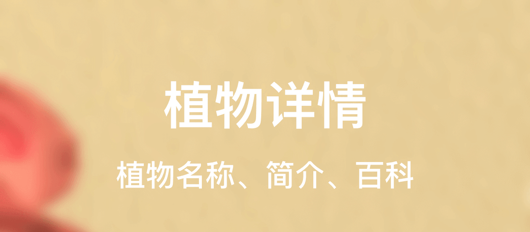 识别植物下载什么软件好 可以识别植物的APP下载推荐截图