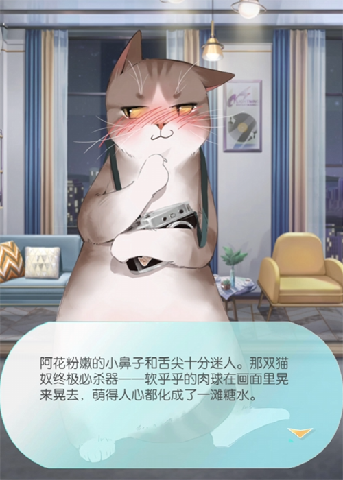 超喵星計劃攻略 超喵星計劃新手入門指南截圖