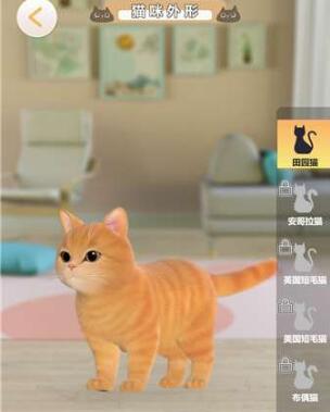 超喵星计划游戏怎么添加猫 超喵星计划游戏添加猫的方式