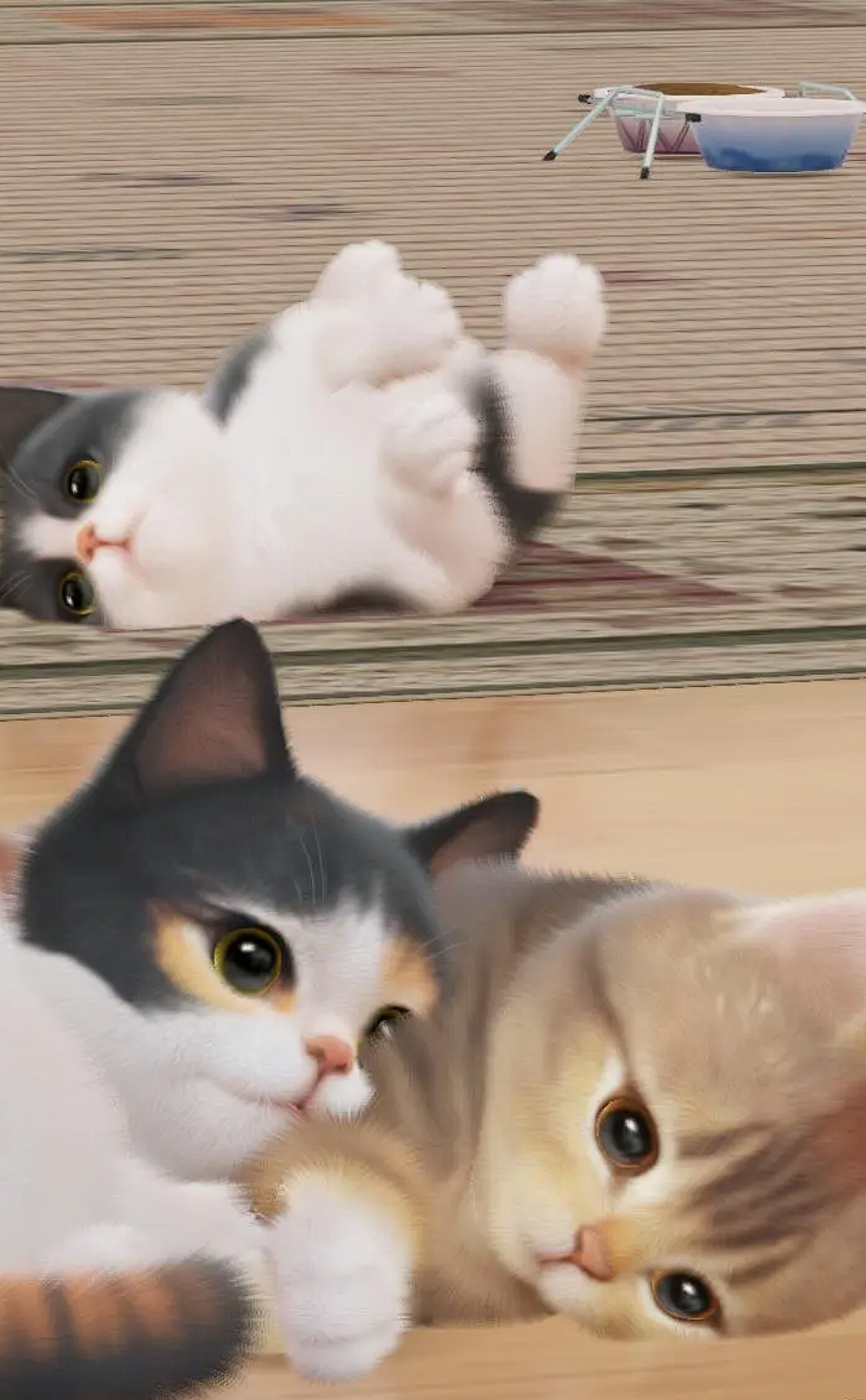 超喵星计划猫数量达到上限怎么办 超喵星计划猫数量有限制吗