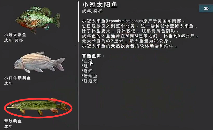 釣魚星球帶紋狗魚怎么釣 釣魚星球釣帶紋狗魚方法介紹截圖