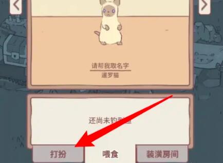 猫咪和汤可爱衣服搭配介绍 猫咪和汤怎么给猫打扮截图