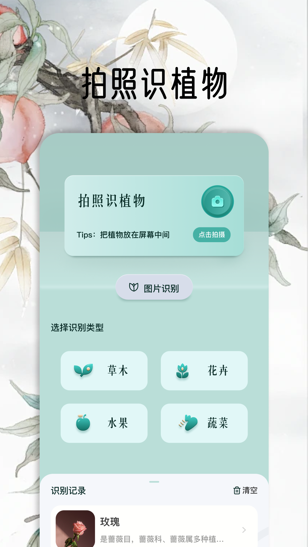 识别花草的app有哪些 可以识别花草种类的软件分享截图