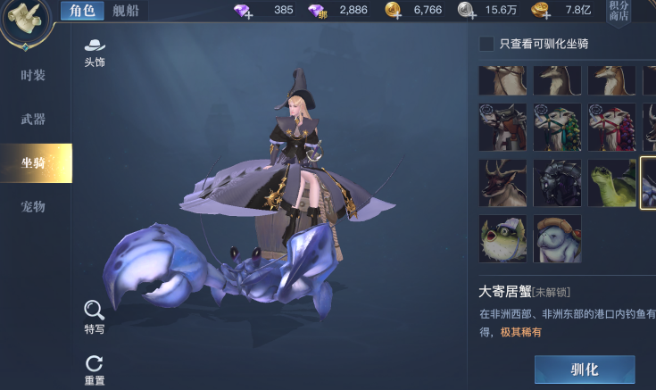 黎明之海大寄居蟹獲取介紹 黎明之海大寄居蟹怎么獲得截圖