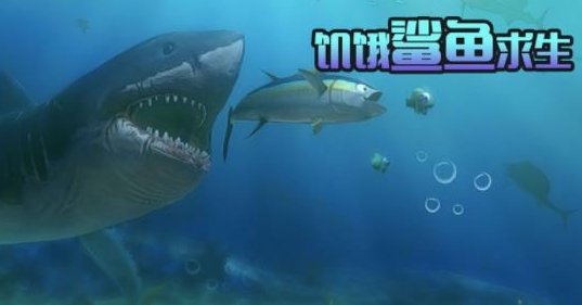 盤(pán)點(diǎn)沒(méi)有wifi的游戲有哪些