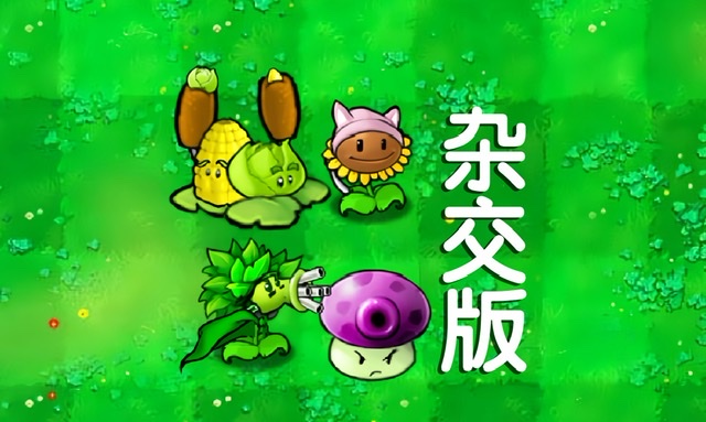植物大戰(zhàn)僵尸雜交版小貓向日葵怎么樣 植物大戰(zhàn)僵尸雜交版小貓向日葵攻略截圖