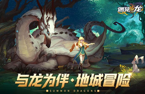 有哪些小龍的游戲