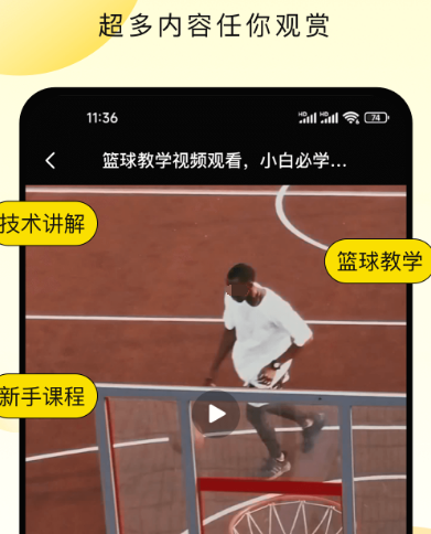 实用运动的app有哪些 好用的运动软件大全截图