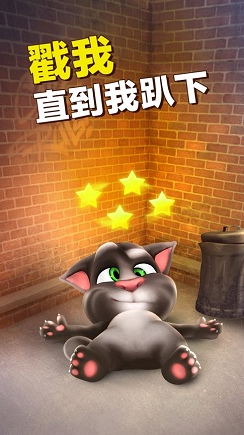 受欢迎的给猫咪玩的游戏有哪些