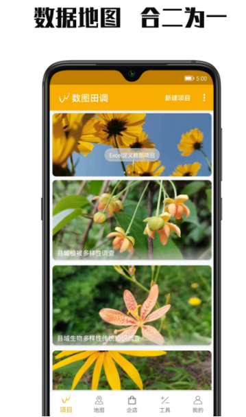 数图app下载有哪些