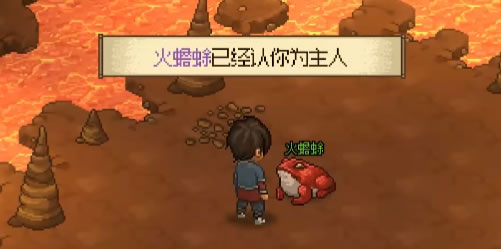 大侠立志传火蟾蜍怎么找 大侠立志传火蟾蜍宠物获得攻略