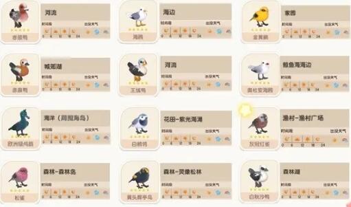 心动小镇什么鸟级别最高 心动小镇鸟类介绍截图