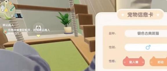 心动小镇猫咪怎么穿衣服 心动小镇猫咪穿衣服步骤详解截图