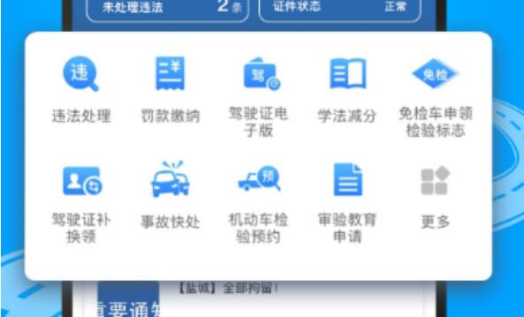 电子驾驶证app下载安装大全 查询电子驾驶证软件盘点截图