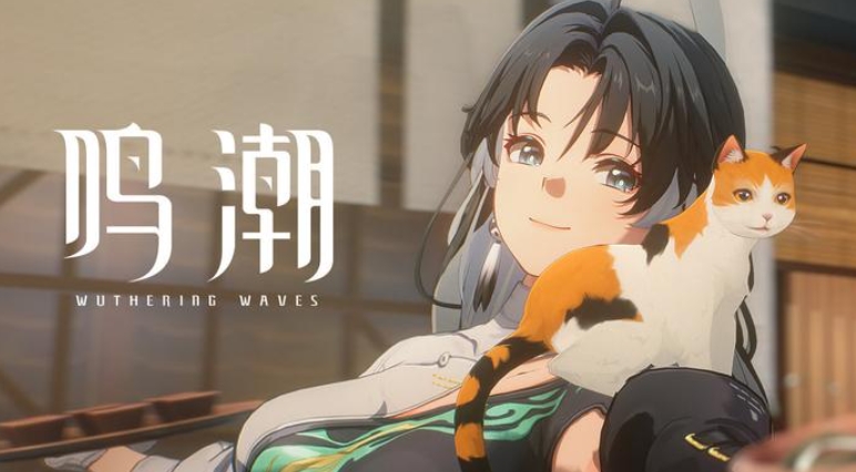 鸣潮曲问趣答一任务怎么过 鸣潮曲问趣答一任务攻略截图