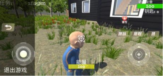 耐玩的老奶奶游戏有没有