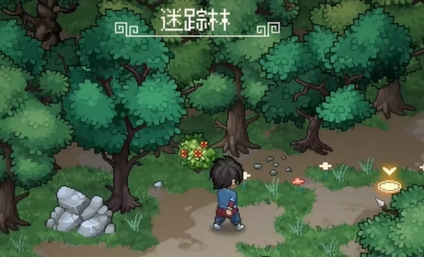 大俠立志傳靈芝在哪 大俠立志傳靈芝獲取位置截圖