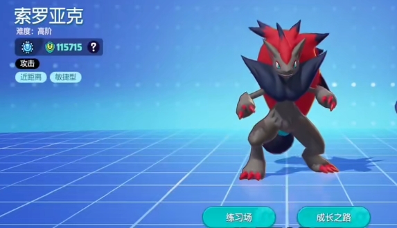 寶可夢(mèng)大集結(jié)索羅亞克持有物怎么選 索羅亞克持有物推薦