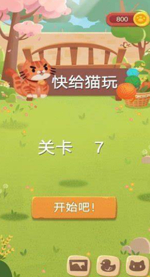 小貓玩的游戲有哪些介紹2025