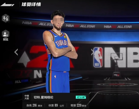 美职篮全明星霍姆格伦怎么样 霍姆格伦球员详情介绍截图