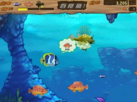 流行的吞食鱼游戏有哪些
