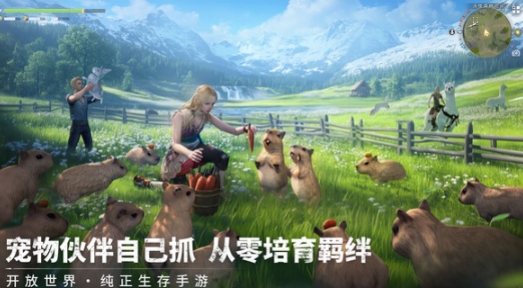 荒原曙光怎么玩 荒原曙光玩法介绍截图