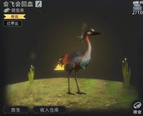 荒原曙光职业流派介绍 荒原曙光职业怎么玩截图