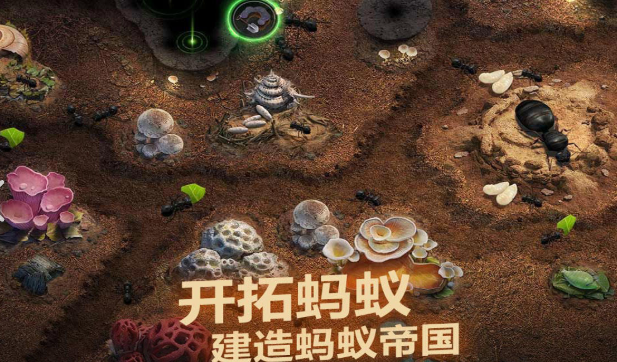 类似北境之地的手游有哪些2025 和北境之地差不多的手游一览
