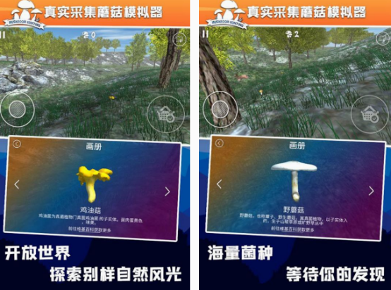 采蘑菇游戲有沒有