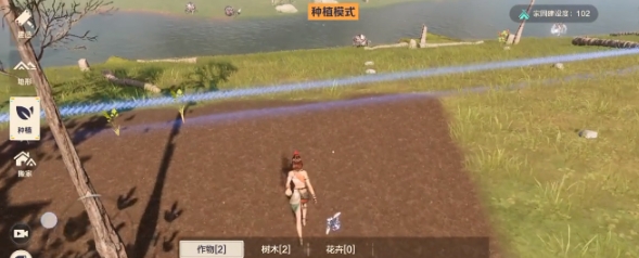 荒野起源種子種植操作指南 荒野起源如何種植