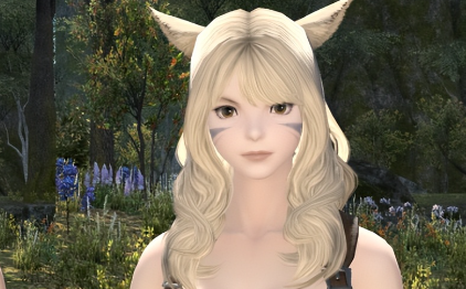 最終幻想14水晶世界貓娘介紹 FF14手游貓娘好玩嗎截圖