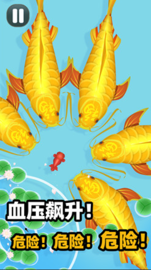 鯉魚(yú)所有游戲有哪些介紹2025