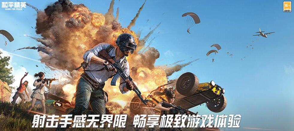 和平精英PC模擬器閃退解決方案截圖