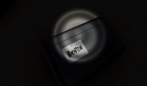 2025有趣的女喪尸游戲分享