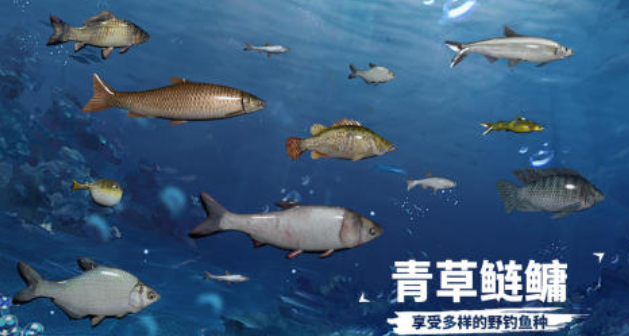 帶老年人玩的互動小游戲叫什么