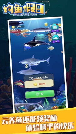 受歡迎的釣魚喂魚的游戲大全