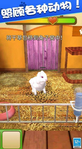 動物世界小游戲哪些值得玩2025
