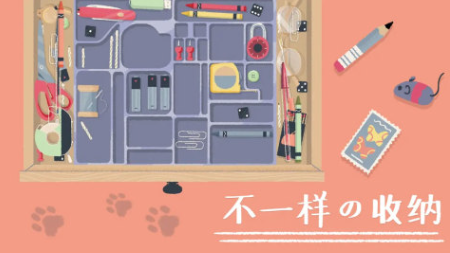 人氣較高的收納整理小游戲大全