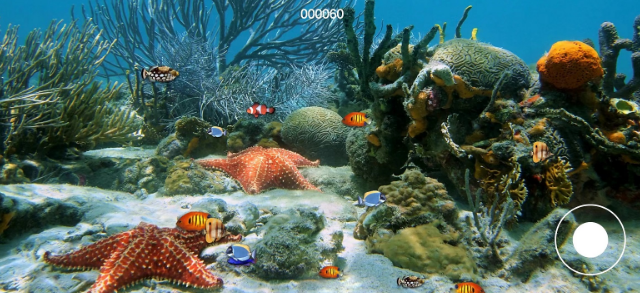 大魚吃小魚的游戲叫什么 2025好玩的大魚吃小魚的游戲盤點截圖