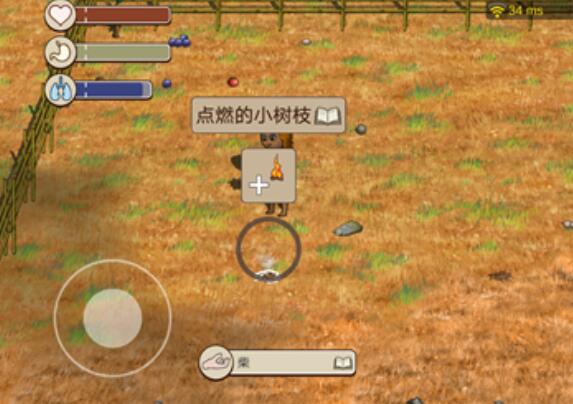 村落人生怎么生火 村落人生生活方法介紹截圖