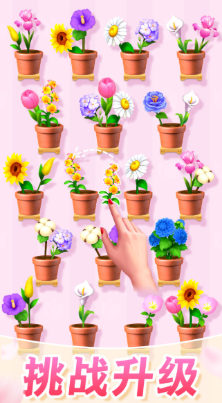 插花消除游戲哪些值得玩2025 優(yōu)質(zhì)的插花消除游戲推薦截圖